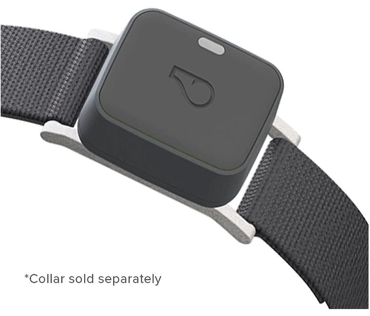 Go Explore/The Ultimate Health + GPS Location Tracker for Pets/Grey