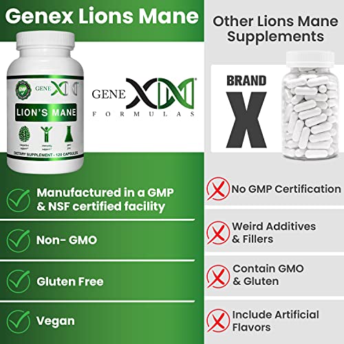 Lions Mane Supplement with 100% Lions Mane Extract - Nootropics Brain Support Supplement 1000mg/serving - (120 Capsules)