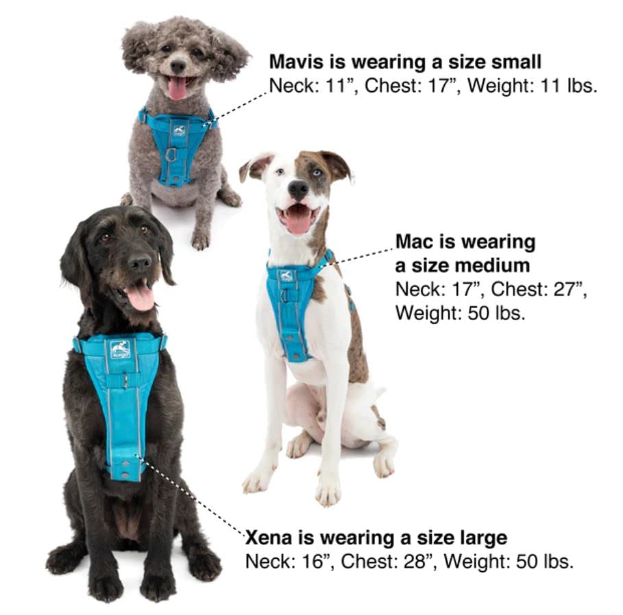 Tru-Fit Smart Harness, Dog Harness, Pet Walking Harness, Quick Release Buckles, Front D-Ring for No Pull Training, Includes Dog Seat Belt Tether (Black, Medium)