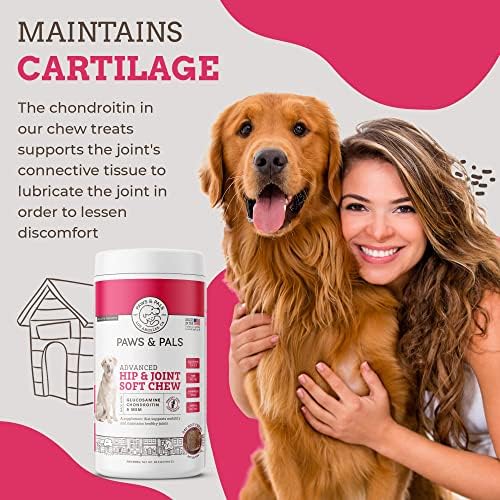 Glucosamine for Dogs, 240 Soft Chews of Advanced Hip and Joint Supplements for Dogs Vet Formulated with Chondroitin &amp; MSM for Mobility Support Keeping your Dog Young – Tasty Flavor