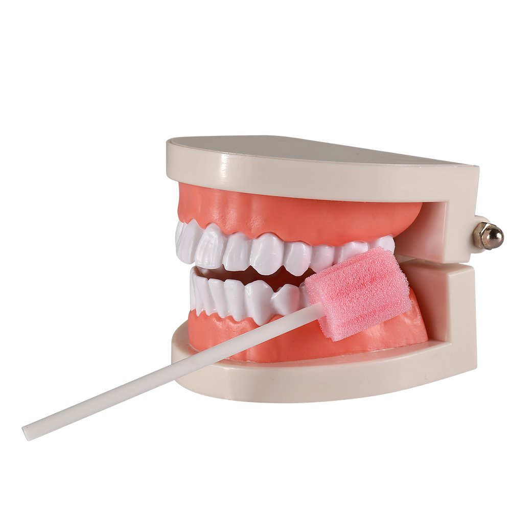 Disposable Oral Care Sponge Swabs(50pcs Pink)