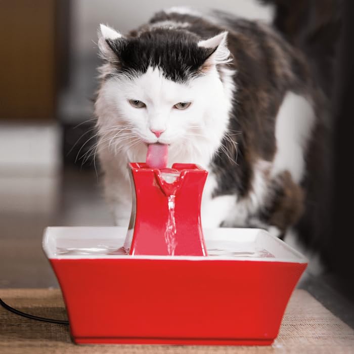 Drinkwell Pagoda Pet Fountain - From in Knoxville, TN - Dog Water Bowl Dispenser - Multiple Angles to Drink From - Filters Included - Dog Fountain Provides Water When Power’s Out - Red