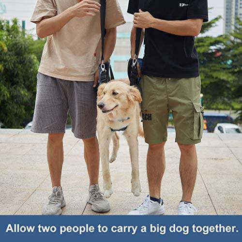 COODEO Dog Carry Sling, Emergency Backpack Pet Legs Support &amp; Rehabilitation Dog Lift Harness for Nail Trimming, Dog Carrier for Senior Dogs Joint Injuries, Arthritis, Up and Down Stairs(XL, Blue)