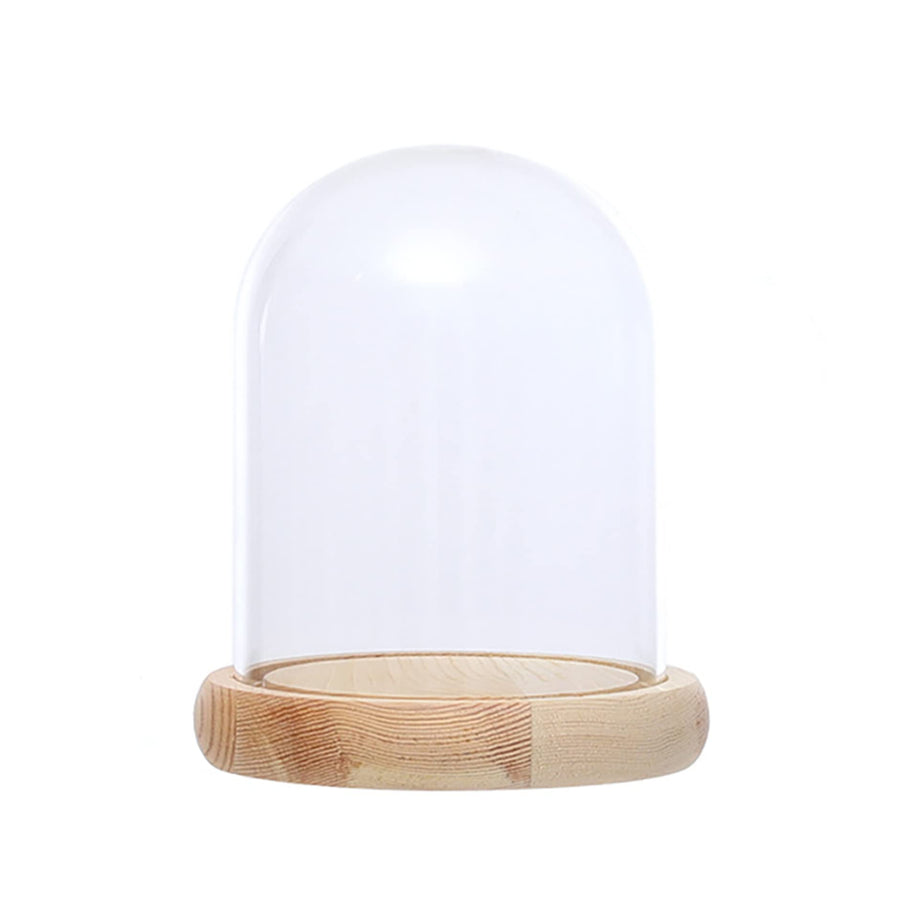 Ivolador 4.9 x 3.1 Glass Display Cloche Dome with Solid Wood Base Large Size Office Home Decoration