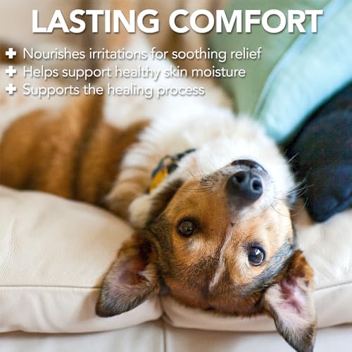 Vet’s Best Dog Hot Spot Itch Relief Spray for Dogs, Dog Hot Spot Spray, Relieves Dry Skin, Rash, Scratching, and Licking, Itchy Skin &amp; Hot Spots, anti-itch spray for dogs, Alcohol-Free, 16 oz