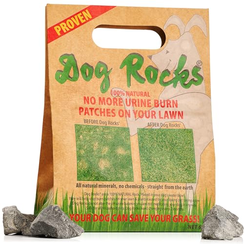 Dog Pee Grass Neutralizer for Green Grass in 3-5 Weeks | Dog Grass Saver Rock | 100% Natural Urine Neutralizer for Lawn, Grass and Hedges | 600 grams