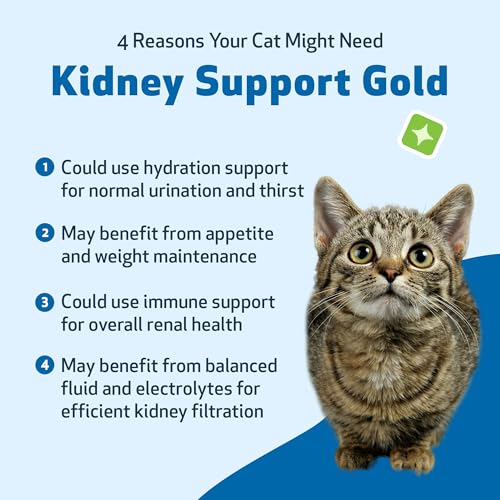 Kidney Support Gold for Cats - Supports Healthy Kidney Function, Fluid Balance, Energy Levels, Rehmannia, Dong Quai - Veterinarian-Formulated Herbal Supplement 2 oz (59 ml)