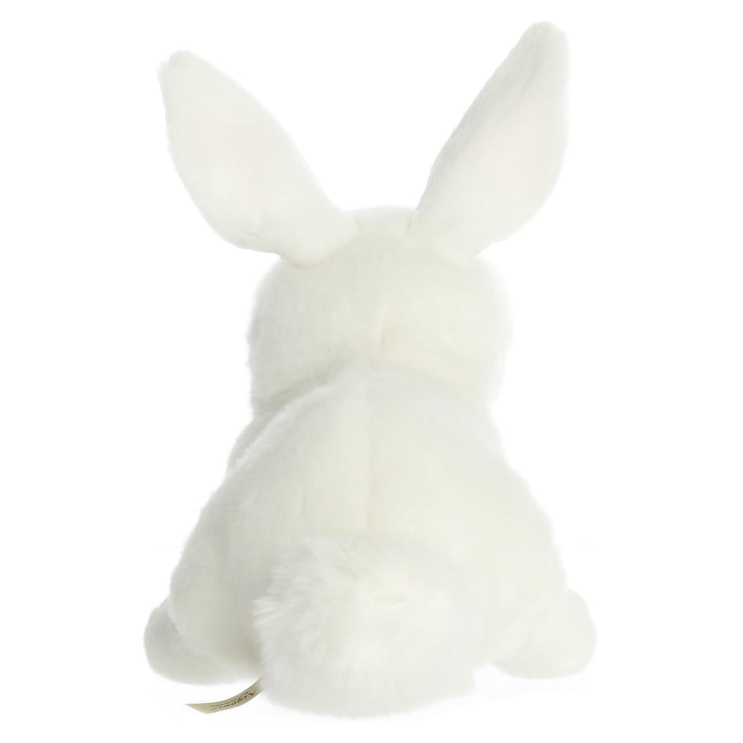 - Miyoni - 10 American White Rabbit