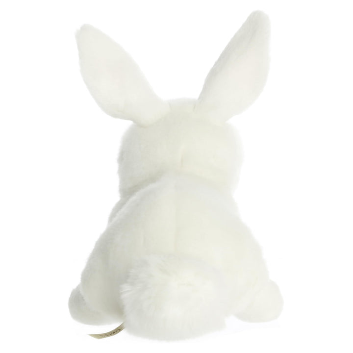 - Miyoni - 10 American White Rabbit