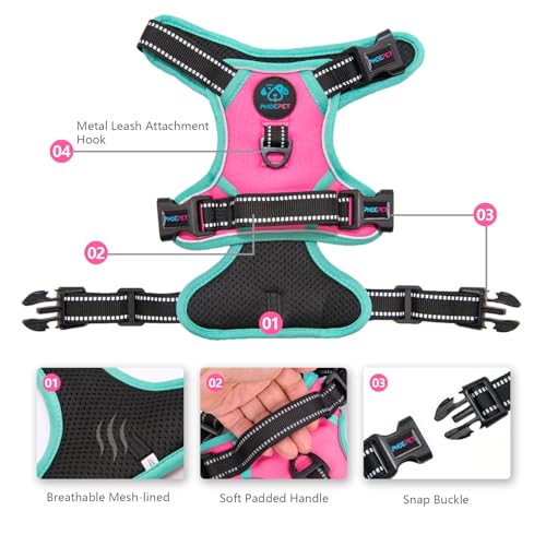 2019 Upgraded No Pull Dog Harness, Reflective Adjustable Vest, with a Training Handle + 2 Metal Leash Hooks+ 3 Snap Buckles +4 Slide Buckles(M, Pink)