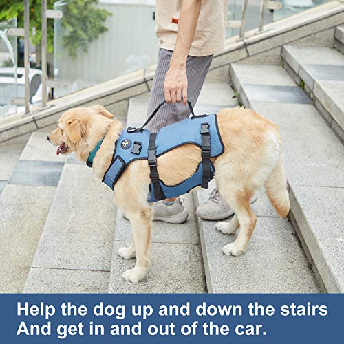 Dog Lift Harness, Full Body Support &amp; Recovery Sling, Pet Rehabilitation Lifts Vest for Old Dog with Arthritis Walk(Bule,L)