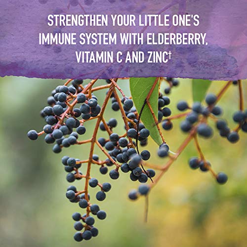 Organics Elderberry Immune Support for Kids with Zinc, Vitamin C - Kids Elderberry &amp; Sleep Immune Syrup Liquid, Bedtime Herbs for Children, No Alcohol, No Added Sugar, 3.92 fl oz