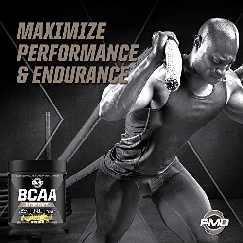 Sports BCAA Stim-Free Amino Acids - Better Workout Performance, Enhanced Recovery, Daily Energy, Muscle Builder, and Muscle Sparing - BCAA Powder Drink Mix - Lemonade (30 Servings)