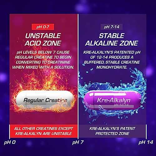 Kre-Alkalyn EFX | pH Correct Creatine Monohydrate Pill Supplement | Strength, Muscle Growth &amp; Performance | 60 Servings, 120 Capsules