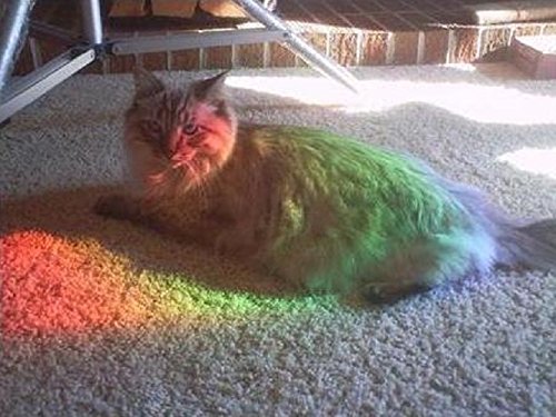 Diffraction Grating Sheet - Do-it-Yourself Sun Catcher - Bring Rainbows Into Your Home