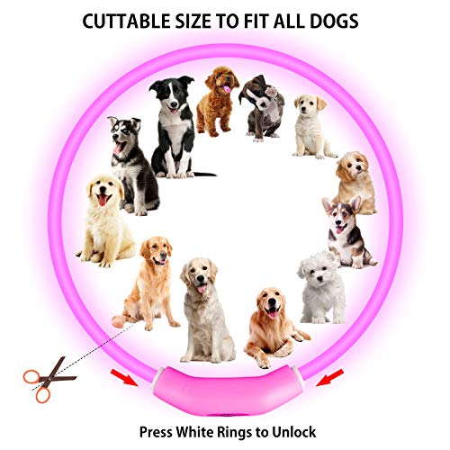 2-Pack LED Dog Collar, Light Up Dog Collars,Rechargeable Dog Lights for Night Walking,Universal, Reusable Safety Necklace for Small Medium Large Dogs RED&amp;Pink