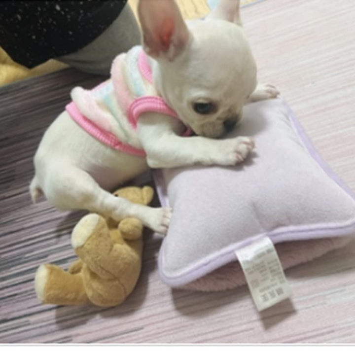ANIAC Bunny Clothes for Rabbits Warm Kitten Vest Fleece XXXS Dog Shirt Cozy T-Shirt for Bunny Guinea Pig Ferret Puppy Mini Dog and Small Animals(XS, Heart Shape with Wing)