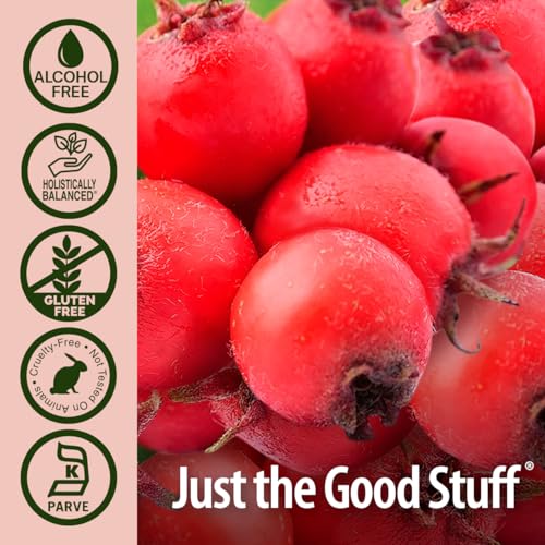 Nature&#39;s Answer Hawthorn Berry 1 Ounce Extract - Blood Circulation &amp; Cholesterol Support Supplement, Alcohol Free, Gluten Free, Preservative Free