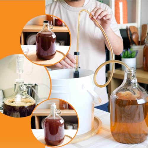 FastRack Glass Wine Fermenter Includes Airlock, 1 gallo