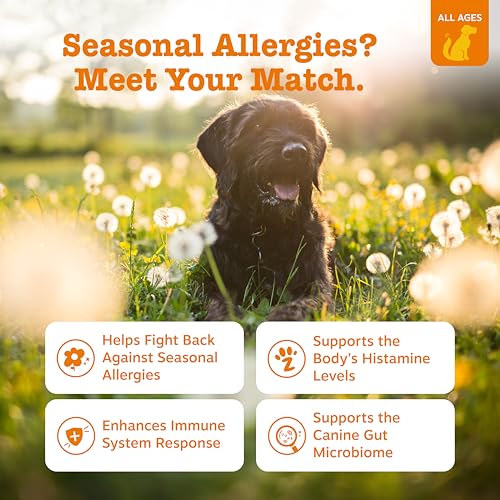 Zesty Paws Dog Allergy Relief- Dog Itching Skin Relief- Dog Probiotics for Itchy Skin and Itchy Ears- Dog Allergy Paw Relief- Dog Allergy Chews- Dog Itch Relief - Dog Skin Allergy Relief - Lamb - 90ct