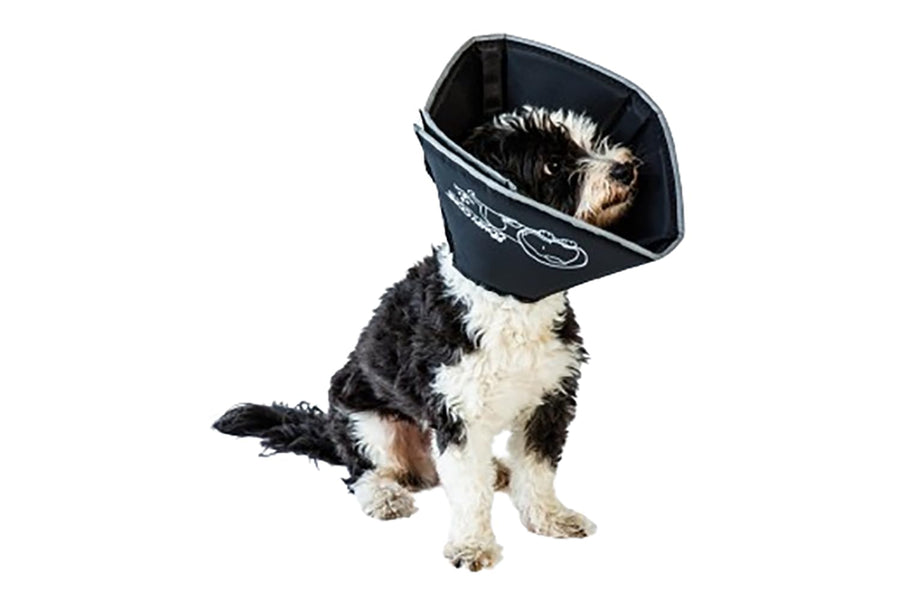 Comfy Cone Pet Cone for Dogs, Cats, Large, Black - Comfortable Soft Dog Cone Collar Alternative for After Surgery, Wound Care, Spay, Neuter - Dog and Cat Recovery Elizabethan-Collar