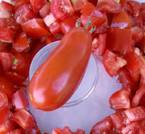 Tomato San Marzano Great Heirloom Garden Vegetable Seeds (3,000 Seeds)
