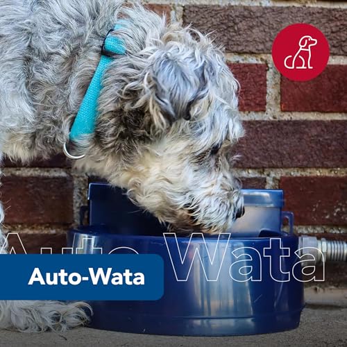 Pet Bergan Auto-Wata - Outdoor Dog & Cat Water Dispenser - Automatic Water Bowl for Pets - Made from Durable, BPA-Free Plastic - Self-Watering Cat & Dog Bowl - Navy, 48 Ounces