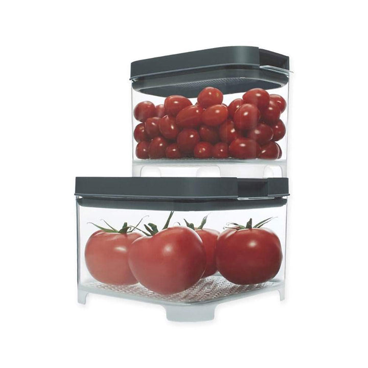 FreshWorks Countertop Food Storage Produce Saver, Set, Clear/Grey