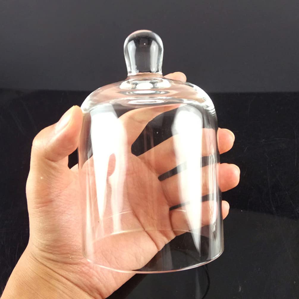 Bell Jar Glass Display Dome Cloche Terrarium Jar Plant Cover Cake Dessert Display Stand Candle Holder Cup Glass Dome for Plants Succulents Fairy Lights Photos 12. 8cm