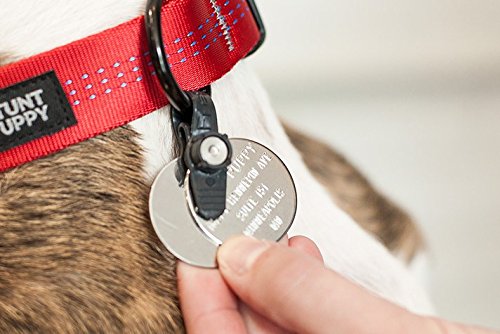 Dog Tag Silencer and Connector, One Size, Graphite