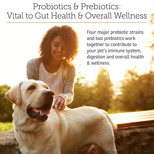 Rx Biotic Probiotics for Dogs & Cats - Digestive Supplement for Pets - 2.12 oz