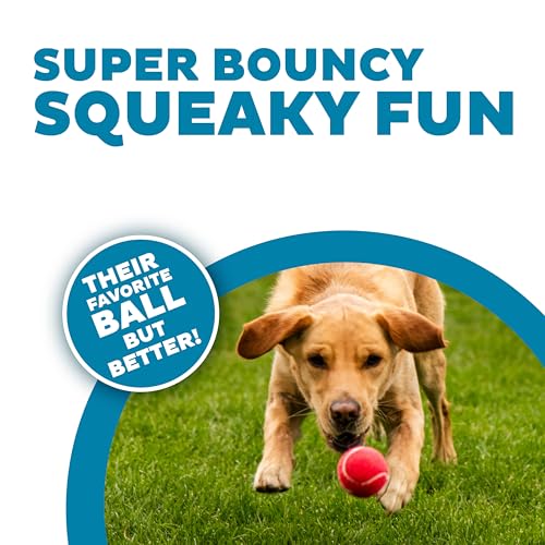 Squeaker Ballz Fetch Dog Toy, Medium - 4 Pack