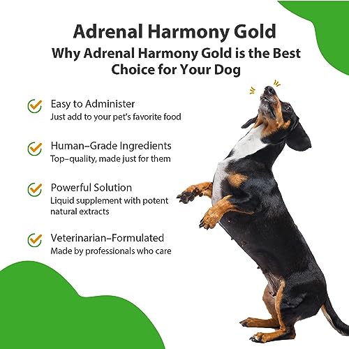 Adrenal Harmony Gold for Dogs - Supports Cortisol Balance, Adrenal Gland Function, Healthy Skin &amp; Weight, Ashwagandha - Veterinarian-Formulated Herbal Supplement 2 oz (59 ml)