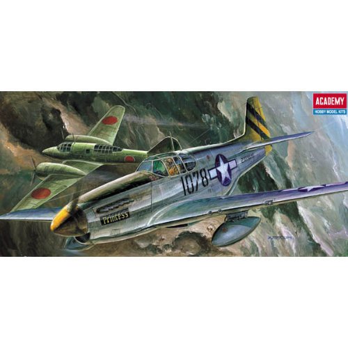The Fighter of World War II P-51C Model Kit, Gray