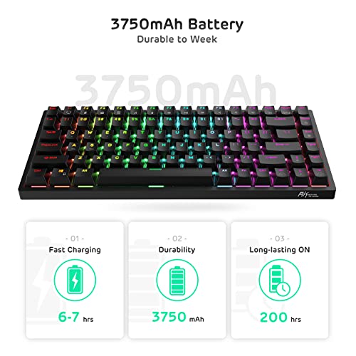 RK84 RGB 75% Triple Mode BT5.0/2.4G/USB-C Hot Swappable Mechanical Keyboard, 84 Keys Wireless Gaming Keyboard, Tactile Brown Switch