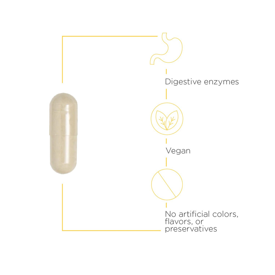 - Similase - Physician Developed Digestive Enzymes for Women and Men - Vegan - 180 Vegetable Capsules