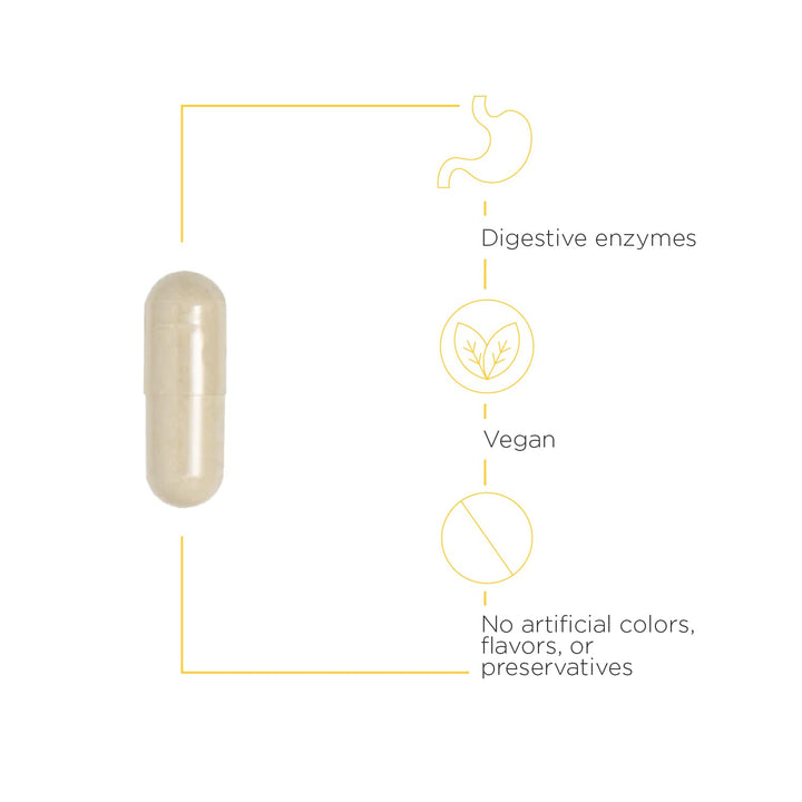 - Similase - Physician Developed Digestive Enzymes for Women and Men - Vegan - 180 Vegetable Capsules