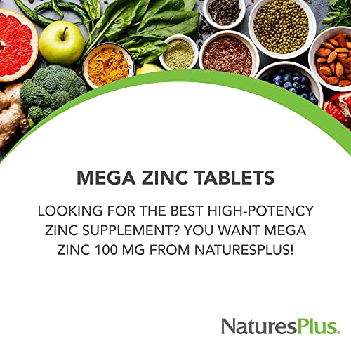NaturesPlus Mega Zinc 100 mg Sustained Release - 90 Tab