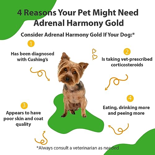 Adrenal Harmony Gold for Dogs - Supports Cortisol Balance, Adrenal Gland Function, Healthy Skin & Weight, Ashwagandha - Veterinarian-Formulated Herbal Supplement 2 oz (59 ml)