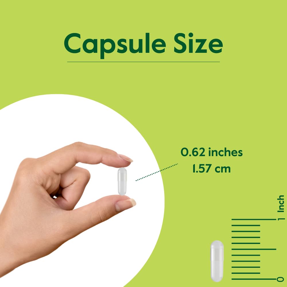 BESTVITE Huperzine A 200mcg from Naturally Derived Hupe