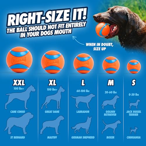 Ultra Ball Dog Toy, Medium (2.5 Inch Diameter) Pack of 1, for breeds 20-60 lbs