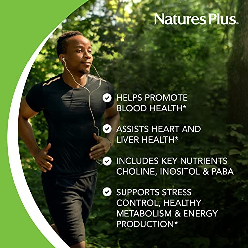 Natures Plus Mega B-100 Complex - 90 Sustained Release 