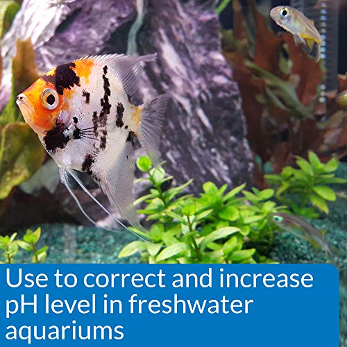 API pH UP Freshwater Aquarium Water pH Raising Solution for fish,4-Ounce Bottle, Brown