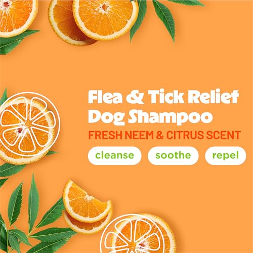 Citrus Flea &amp; Tick Shampoo for Dogs, Soothing Bite Relief, Fresh Citrus Scent, Made in the USA, 20oz.
