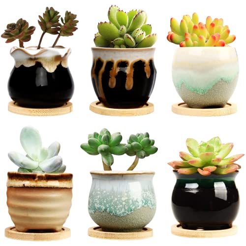 2.5 Inch Succulent Pot with Drainage,Planting/Flower Pots,Small Planter for Mini Plant Ceramic Flowing Glaze Base Serial Set with Holes