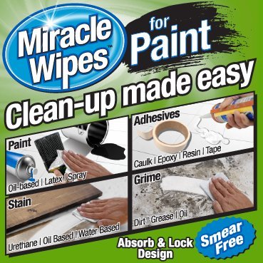 Professional Cleaning Wipes for Paint Cleanup (30-Count
