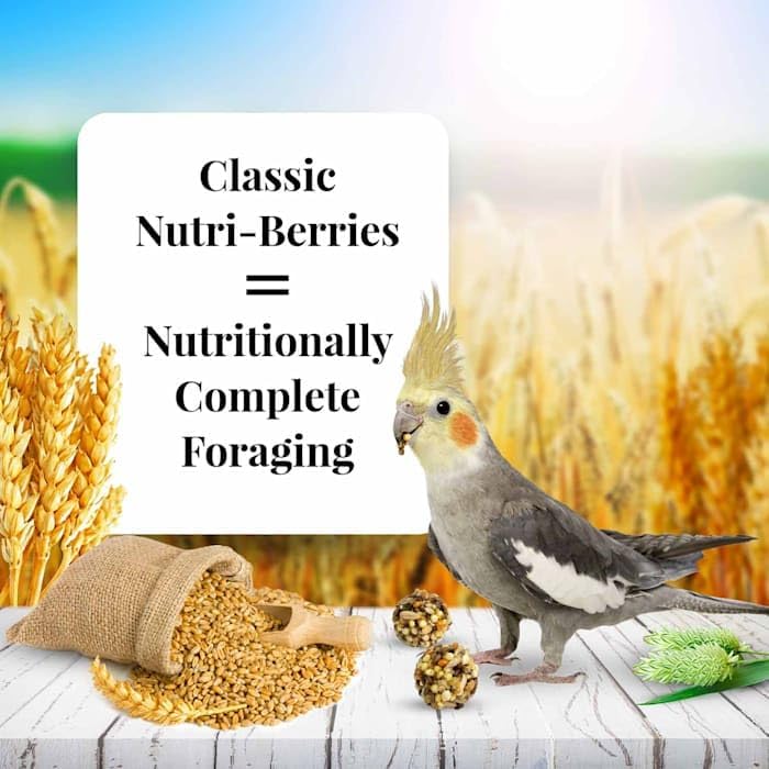 LAFEBER&#39;S Classic Nutri-Berries Pet Bird Food, Made with Non-GMO and Human-Grade Ingredients, for Cockatiels (4 lb)