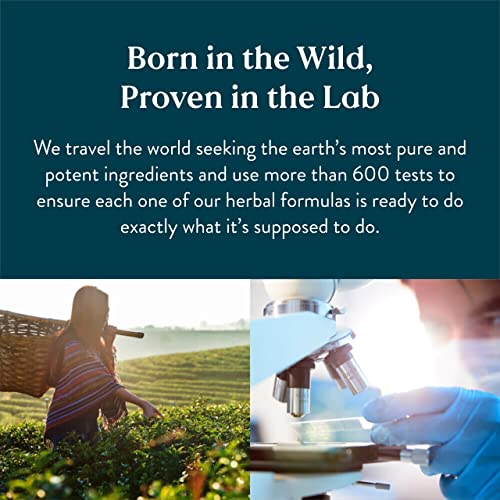 Nature&#39;s Sunshine Kidney Activator TCM Concentrate, 30 Capsules | Natural Chinese Kidney Supplement Contains Herbs to Support and Enhance Kidney Function and Urine Flow