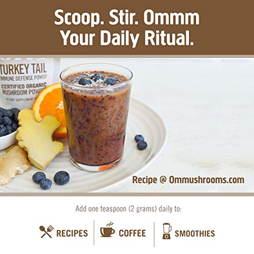 Turkey Tail Organic Mushroom Powder, 3.5 Ounce, 50 Servings, Immune Support, Polysacchrides, Beta-Glucans, Gut Health &amp; Holistic Defense Mushroom Supplement