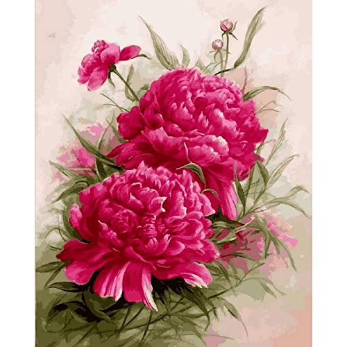 DIY Paint by Numbers Canvas Painting Kit for Adults, 16 x 20 Drawing Paintwork with 3 Paintbrushes Acrylic Paints - Red Roses Painting